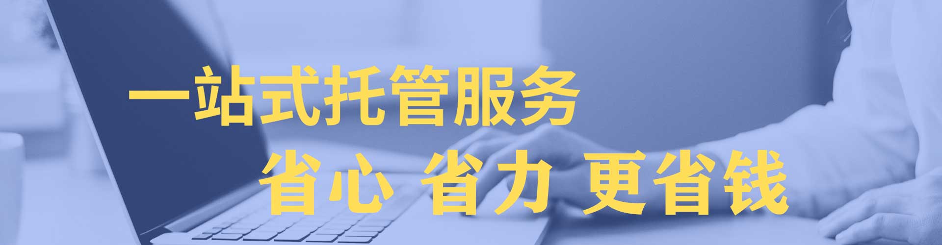 金水百度网络推广